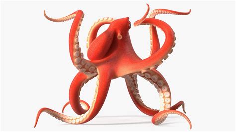 Cartoon Octopus Floating Pose 3D Model 49 3ds Blend C4d Fbx Max