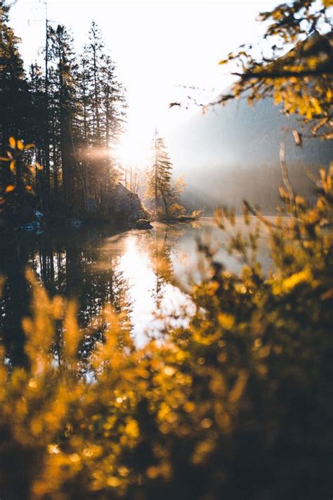 Free Images Landscape Tree Water Nature Branch Light Sky Sun