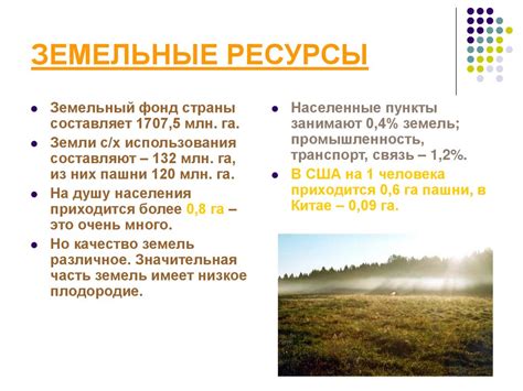 Природные ресурсы РФ - презентация онлайн