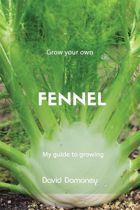 Fennel Grow Your Own David Domoney Fennel Grow Your Own