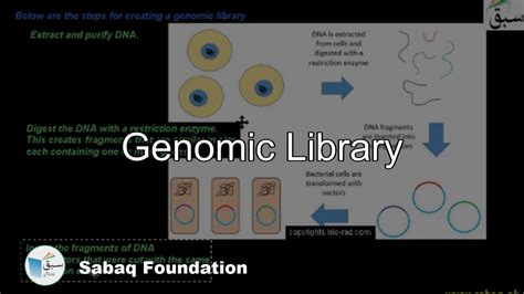 Genomic Library Biology Lecture Sabaqpk Youtube