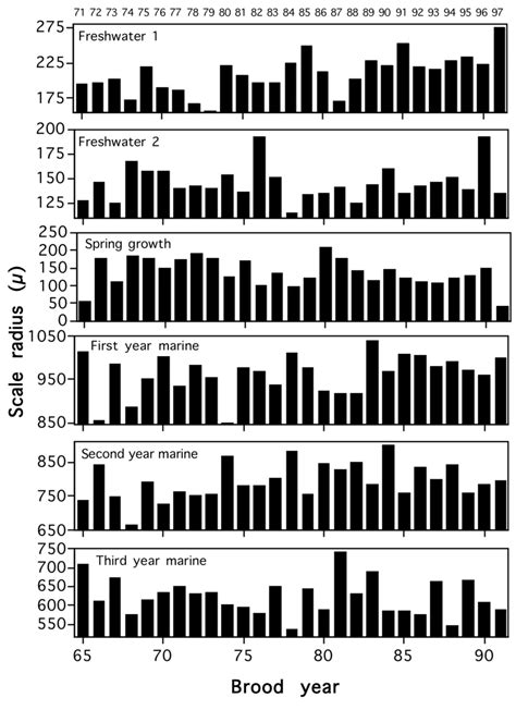 Mean Incremental Scale Radii Measurements Of Chignik Lake Sockeye