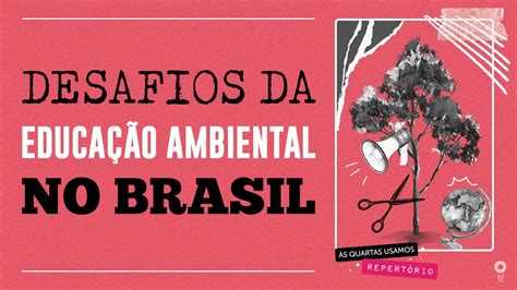 Como falar sobre as perspectivas e desafios da educação ambiental no