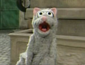 Talk:Cats - Muppet Wiki