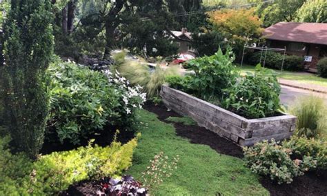 Mature Landscaping: Getting Your Garden Plants Established