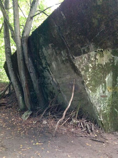 Hitlers Wolfsschanze stock image. Image of eastern, ruins - 108171053