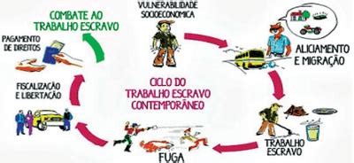 AIO Analise O Ciclo Do Trabalho Escravo Contemporaneo