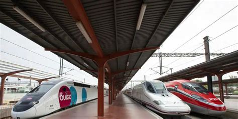 Ave Tgv Tren De Alta Velocidad En España Loros Y Guacamayos