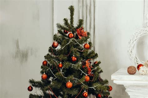 Безкоштовне стокове фото: navidad, білий фон, внутрішнє оздоблення ...