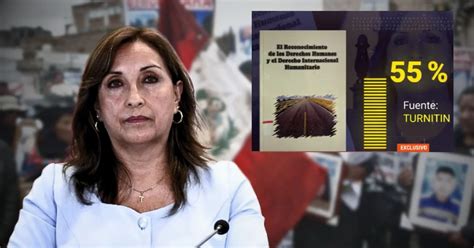 Dina Boluarte Plagió En Libro De Coautoría De Derechos Humanos 55 No Está Citado Según