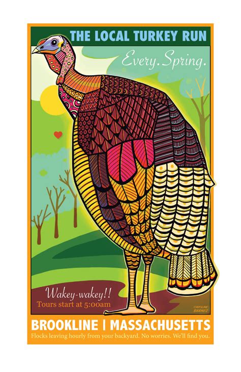 Illustrations Brookline Turkeys