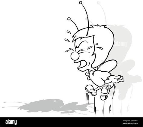 Drawing Beetle Black And White Stock Photos Images Alamy