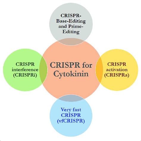 Various Natural And Synthetic Cytokinins Structures Obtained From Download Scientific