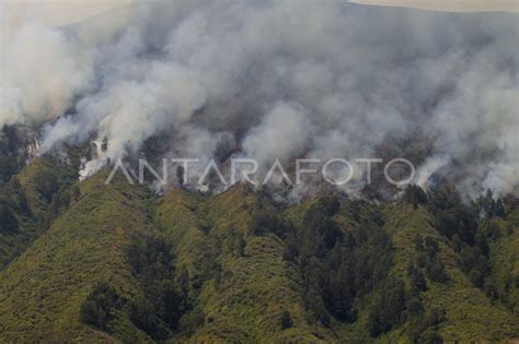 Kebakaran Hutan Dan Lahan Gunung Bromo Antara Foto