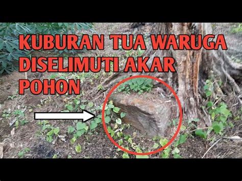 MAKAM TUA LELUHUR MINAHASA DISELIMUTI AKAR POHON YouTube