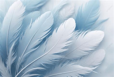 Feather Background Image Cool Feather Background Light Blue Soft