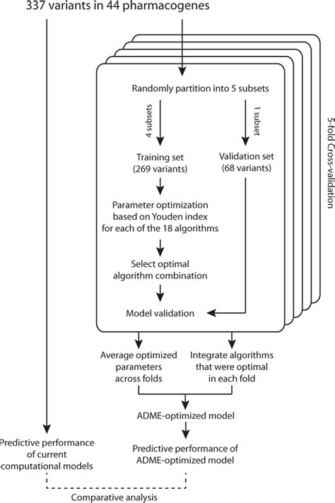 Schematic Depiction Of The Workflow For The Development Of The Adme