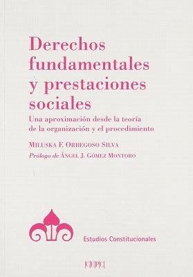 Librería Dykinson Derechos fundamentales y prestaciones sociales