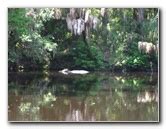 Hillsborough River State Park Pictures Video Clip Visitor