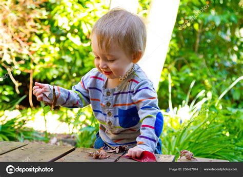 Very Curious One Year Old Toddler Boy Explores His Backyard — Stock ...