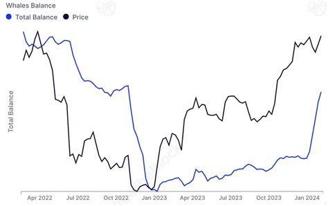 Bitcoin Attracts Whales But A Big Hurdle Lies Ahead Ambcrypto