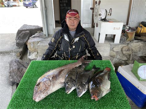 磯釣りで真鯛75㎝・チヌ46㎝まで2枚・イガミ・ゲット！ 一栄丸渡船｜三重県紀北町