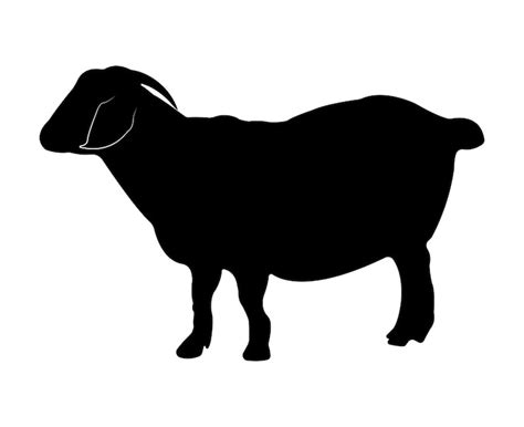 Premium Vector | Vector flat goat silhouette isolated on white background