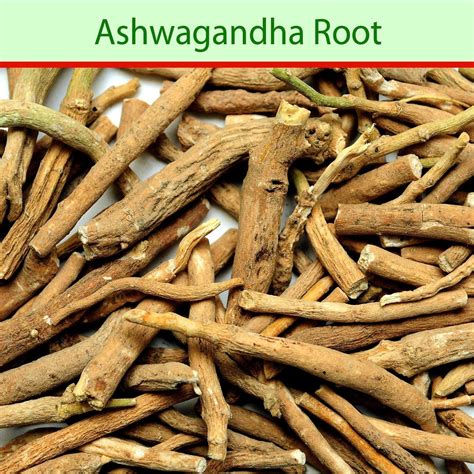 Ashwagandha Root - Mangalore Spice