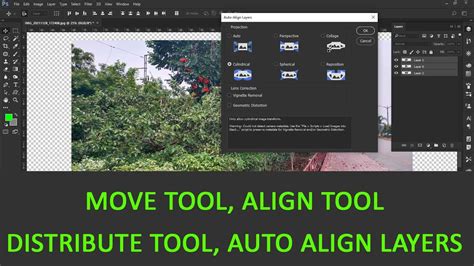 Move Tool Options In Adobe Photoshop Align Distribute Show