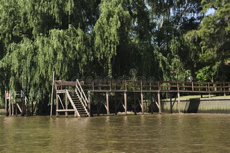 Wooden Pier In The Tigre Delta Buenos Aires Argentina A Quiet