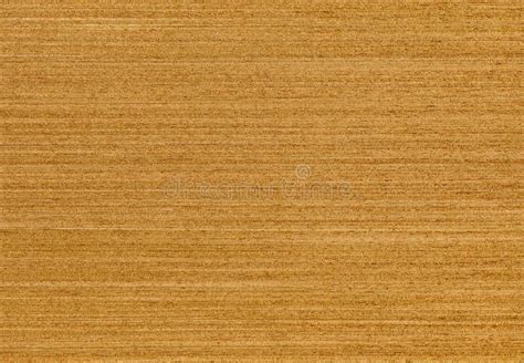 Oak Wood Texture Natural Wood Textures High Resolution Texture Stock