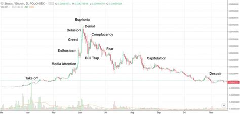 Understand Crypto Charts Recurring Market Cycles