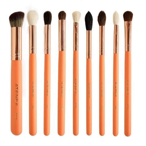 Kit De Brochas Para Ojos Coral Life K Atenea Satinada Makeup