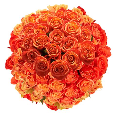 Orange Deep Red Roses