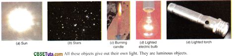 Sources of Light - Defintion, Types and Examples - CBSE Tuts