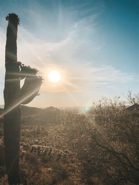 The Best Hikes In Phoenix Travel By Brit