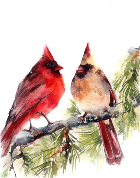 Cardinal Birds print Watercolor Print Watercolor painting of