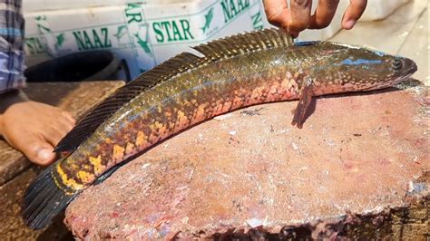 Amazing Murral Fish Cutting Skills In Bangladesh Fish Market Fish