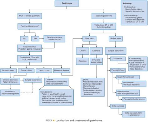 Operative Treatment Of Gastrinoma Abdominal Key