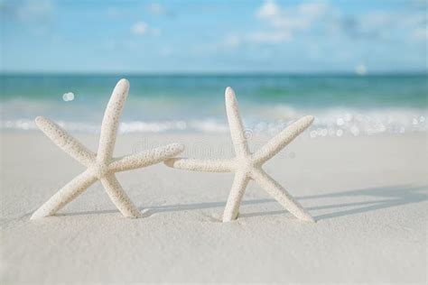 White Starfish On White Sand Beach With Ocean Sky And Seascape Stock