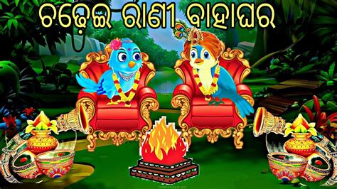 Chadhei Rani Bahaghar Tiki Chadhei Tunichidiya Bird Stories Odia