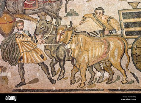 Ancient Roman Ox Cart Hi Res Stock Photography And Images Alamy