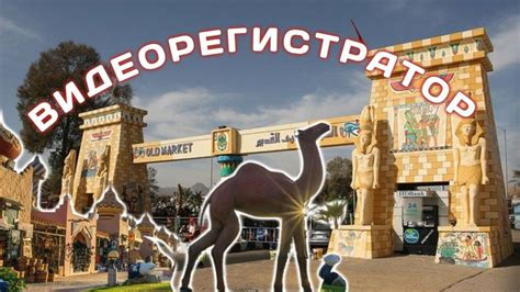 Видеорегистратор по дорогам Шарм Эль шейха путешествие по Египту - YouTube