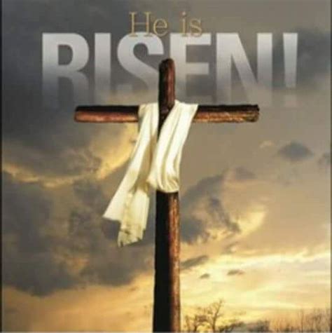 Albums 102 Pictures He Has Risen Quotes And Pictures Full Hd 2k 4k