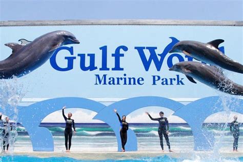 Skip The Line: Gulf World Marine Park General Admission Ticket: Triphobo