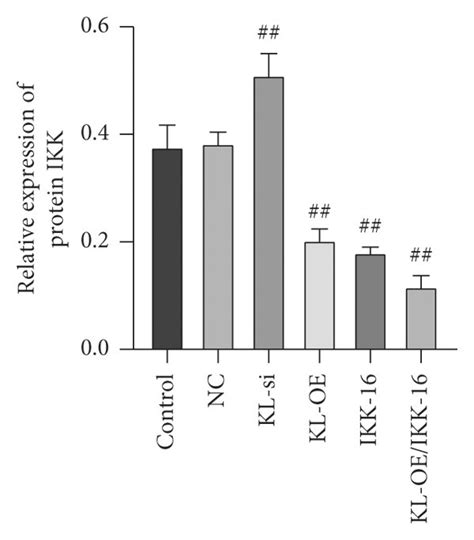 Expression Of Kl Nf B And Ikk In Microglia A Kl Gene Expression