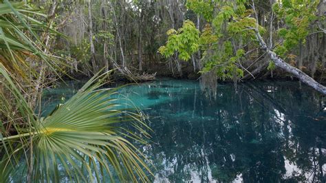 Hiking Crystal River Biking Paddling Camping Florida Hikes