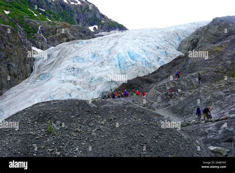 Travelers Hiking Towards The Exit Glacier A Receding Glacier Kenai