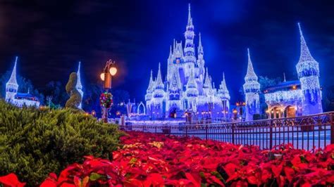 First Look as Cinderella Castle Christmas Decorations Begin to Appear ...