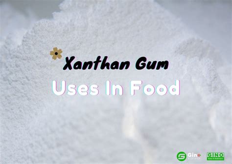 Xanthan Gum Uses in Food: 5 Useful Parts You Should Know